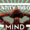 Identity theory of mind