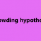 Crowding hypothesis