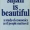 Small is beautiful principle (1973)